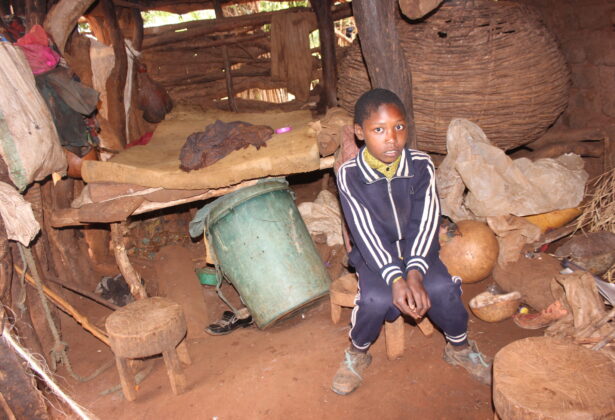 20 Woningen Tanzania